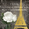 Paris in Spring 2 Poster Print by Kimberly Allen - Item # VARPDXKASQ485B