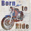 Born to Ride Poster Print by Allen Kimberly - Item # VARPDXKASQ497A