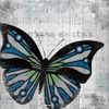 Vintage Butterfly 2 Poster Print by Allen Kimberly - Item # VARPDXKASQ519B