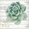 Live for Today 1 Poster Print by Allen Kimberly - Item # VARPDXKASQ609A