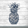 Country Pineapple 1 Poster Print by Allen Kimberly - Item # VARPDXKASQ668A