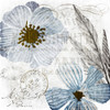 Soft Floral Blue 2 Poster Print by Allen Kimberly - Item # VARPDXKASQ693B