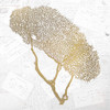 Gold Coral 2 Poster Print by Allen Kimberly - Item # VARPDXKASQ699B