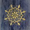 Golden Mandala 2 Poster Print by Allen Kimberly - Item # VARPDXKASQ703B