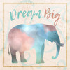 Dream Big Poster Print by Allen Kimberly - Item # VARPDXKASQ759A