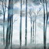 Shrouded Forest Poster Print by Kimberly Allen - Item # VARPDXKASQ781A