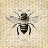 Honeycomb No 40 Poster Print by Allen Kimberly - Item # VARPDXKASQ887C