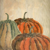 Fall Pumpkins Poster Print by Allen Kimberly - Item # VARPDXKASQ899A