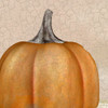 Copper Pumpkin Poster Print by Allen Kimberly - Item # VARPDXKASQ899B