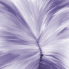 Stitches of Violet Poster Print by Allen Kimberly - Item # VARPDXKASQ915A