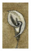Lily Right Poster Print by Kristin Emery - Item # VARPDXKERC002B