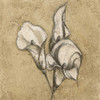 Calla Lily I Poster Print by Kristin Emery - Item # VARPDXKESQ001