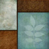 Patterns and Ferns II Poster Print by Kristin Emery - Item # VARPDXKESQ021B
