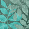 Teal Leaves II Poster Print by Kristin Emery - Item # VARPDXKESQ088B