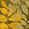 Yellow and Brown Leaves II Poster Print by Kristin Emery - Item # VARPDXKESQ092B