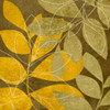 Yellow and Brown Leaves II Poster Print by Kristin Emery - Item # VARPDXKESQ092B