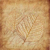 Gold Leaves III Poster Print by Kristin Emery - Item # VARPDXKEXSQ025L