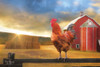 Good Morning Rooster Poster Print by Lori Deiter - Item # VARPDXLD1088