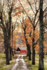 On Those Country Roads Poster Print by Lori Deiter - Item # VARPDXLD1153