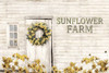 Sunflower Farm Poster Print by Lori Deiter - Item # VARPDXLD1202