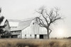 Ohio Fields I Poster Print by Lori Deiter - Item # VARPDXLD1407