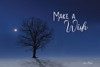 Make a Wish Poster Print by Lori Deiter - Item # VARPDXLD1700