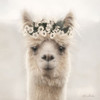 Alpaca with Flowers Poster Print by Lori Deiter - Item # VARPDXLD1735