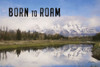 Born to Roam Poster Print by Lori Deiter - Item # VARPDXLD1770