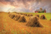 Harvest Blessings Poster Print by Lori Deiter - Item # VARPDXLD614