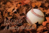 Baseball - A Family Tradition Poster Print by Lori Deiter - Item # VARPDXLD698
