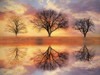 Trio of Trees Poster Print by Lori Deiter - Item # VARPDXLD977
