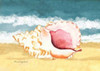 Seashell II Poster Print by Laurie Korsgaden - Item # VARPDXLKRC2185