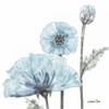 Poppy Perched 2 Poster Print by Lorraine Rossi - Item # VARPDXLRSQ250B