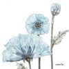 Poppy Perched 2 Poster Print by Lorraine Rossi - Item # VARPDXLRSQ250B