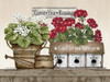 Count Your Blessings Geraniums Poster Print by Linda Spivey - Item # VARPDXLS1717