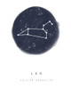 Leo Poster Print by Leah Straatsma