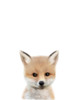 Woodland Fox Poster Print by Leah Straatsma - Item # VARPDXLSRC008D