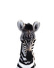 Baby Zebra Poster Print by Leah Straatsma - Item # VARPDXLSRC008F