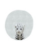 Baby White Tiger Poster Print by Leah Straatsma