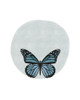 Butterfly Circle Poster Print by Leah Straatsma - Item # VARPDXLSRC013R