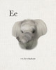 E is for Elephant Poster Print by Leah Straatsma - Item # VARPDXLSRC036E