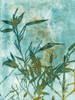 Leafy Bamboo Poster Print by Krista McCurdy - Item # VARPDXM1671D