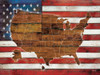 American Flag USA Map  Poster Print by Marla Rae - Item # VARPDXMA2075