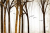 Beautiful Place Poster Print by Marla Rae - Item # VARPDXMA2294