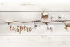 Cotton Stems - Inspire Poster Print by Marla Rae - Item # VARPDXMA2447