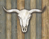Cow Skull II Poster Print by Marla Rae - Item # VARPDXMAZ5219A