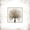 Tree Squared Poster Print by Marla Rae - Item # VARPDXMAZ5482