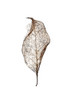 Leaf Poster Print by Design Fabrikken Design Fabrikken - Item # VARPDXMF9690893