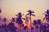 Palm Sky 1 Poster Print by Design Fabrikken Design Fabrikken - Item # VARPDXMF9690951