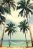 Palm Sky 3 Poster Print by Design Fabrikken Design Fabrikken - Item # VARPDXMF9690953